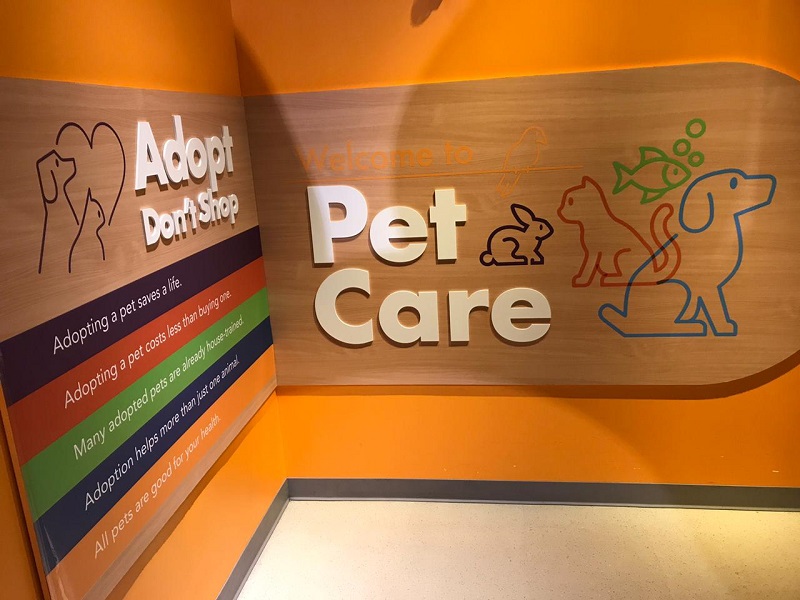 Pet Care at Miami Children's Museum