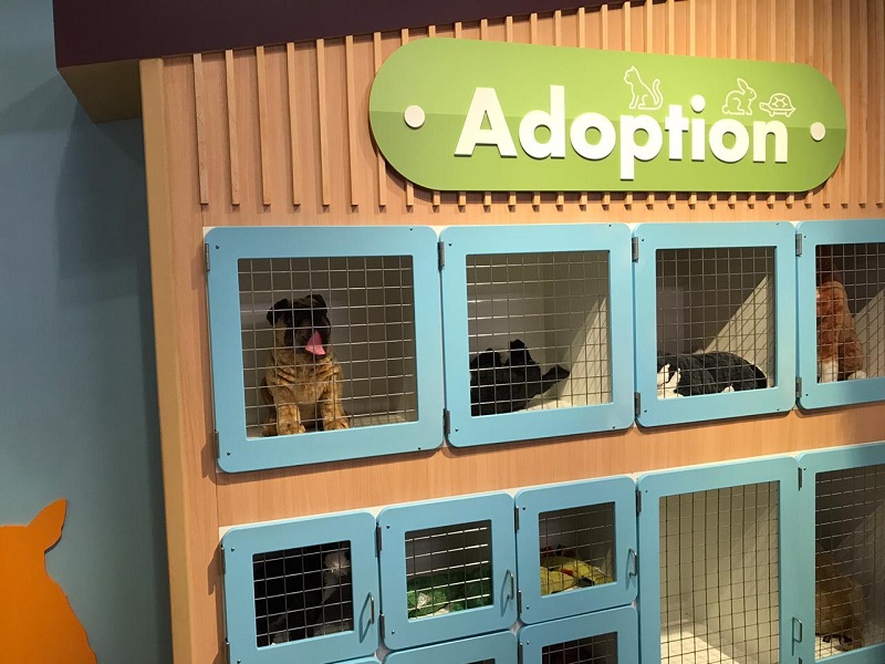 Adoption - Museu para los niños en Miami