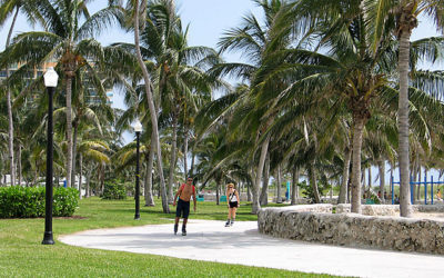 Lummus Park: Ocio y entretenimiento en South Beach