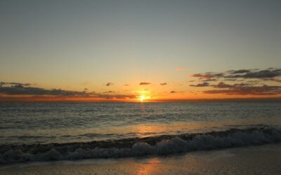 Hollywood Beach, Florida: todo sobre la región