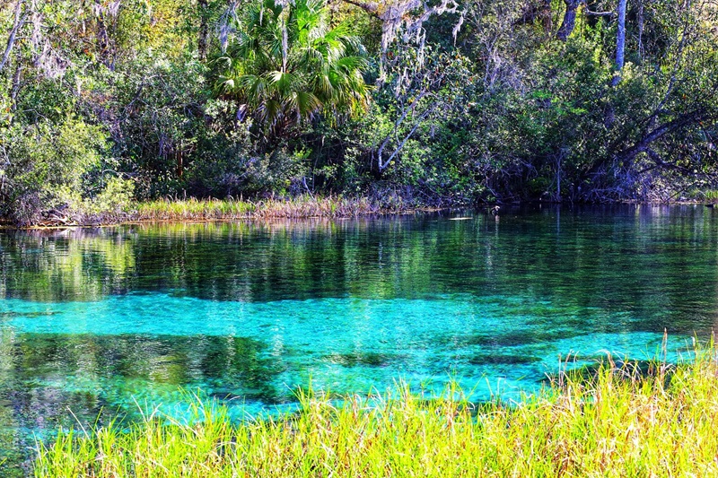 Florida Springs: Los manantiales que forman paraísos naturales